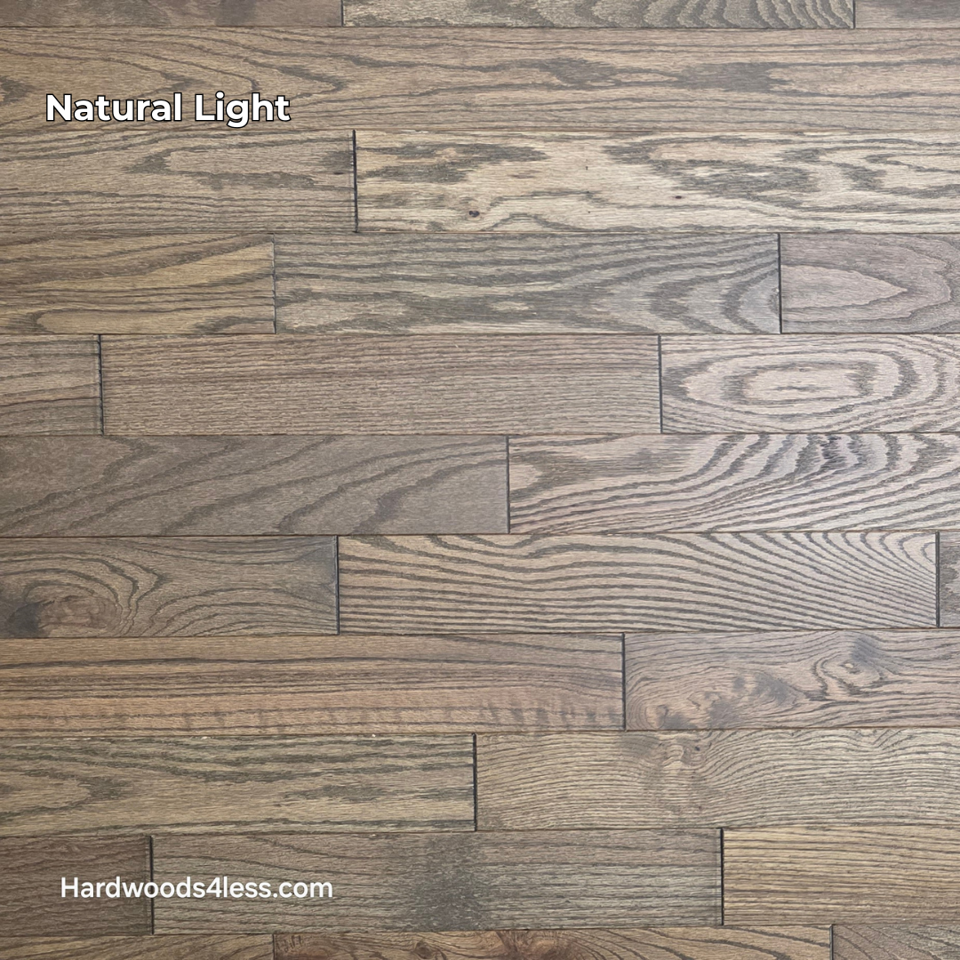 3 1/4" x 3/4" Solid Red Oak Coal Hardwood Flooring. Shown in natural lighting.