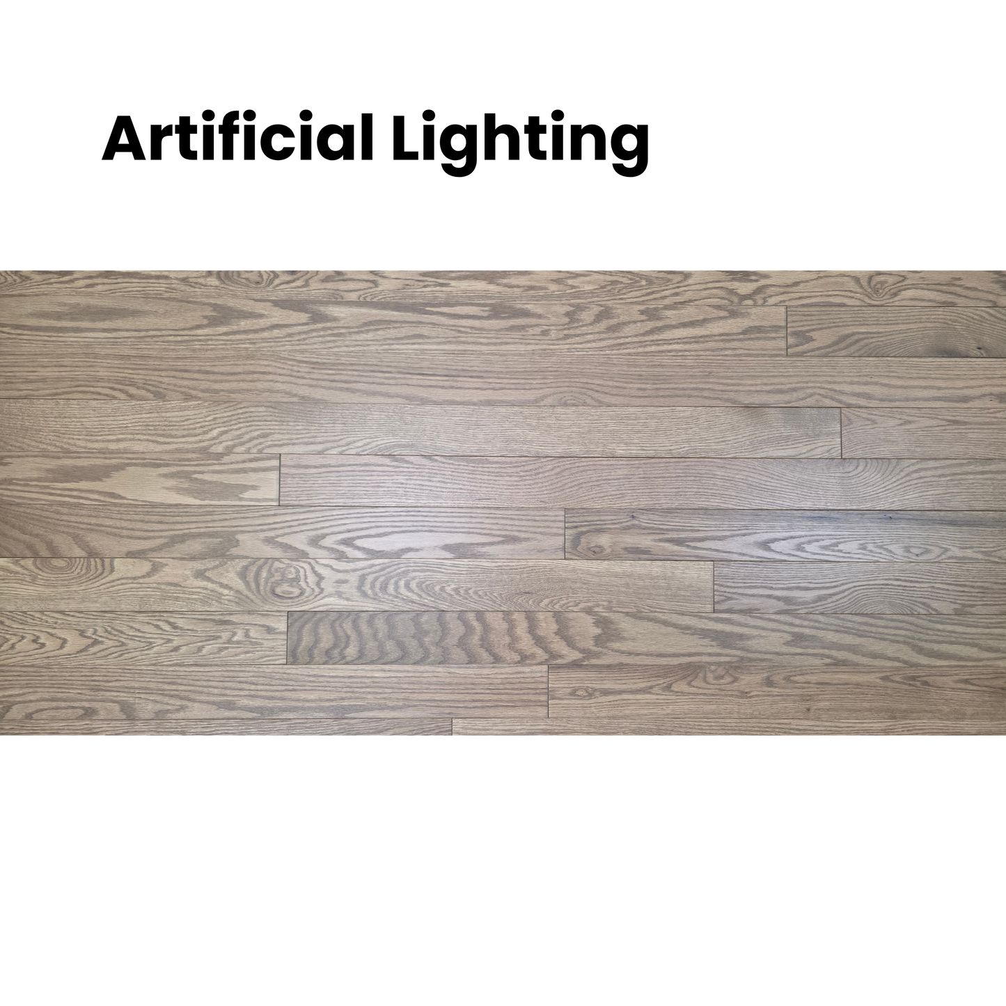 3 1/4" x 3/4" Solid Red Oak Marcy Hardwood Flooring. Shown close up in artificial lighting.