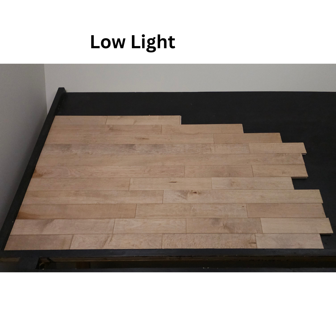 Solid Maple Colden Hardwood Flooring