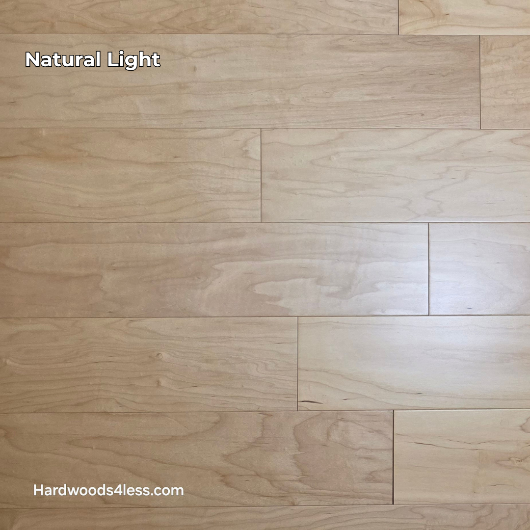 5 3/8" x 3/8" Engineered Maple Natural Hardwood Flooring. Close up.