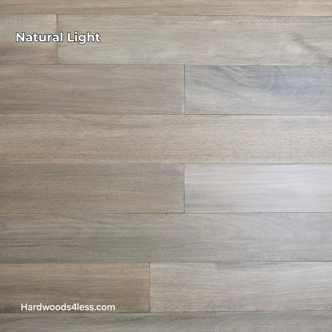 5" x 9/16" Engineered Brazilian Oak Light Grey Hardwood Flooring. Shown in natural lighting.