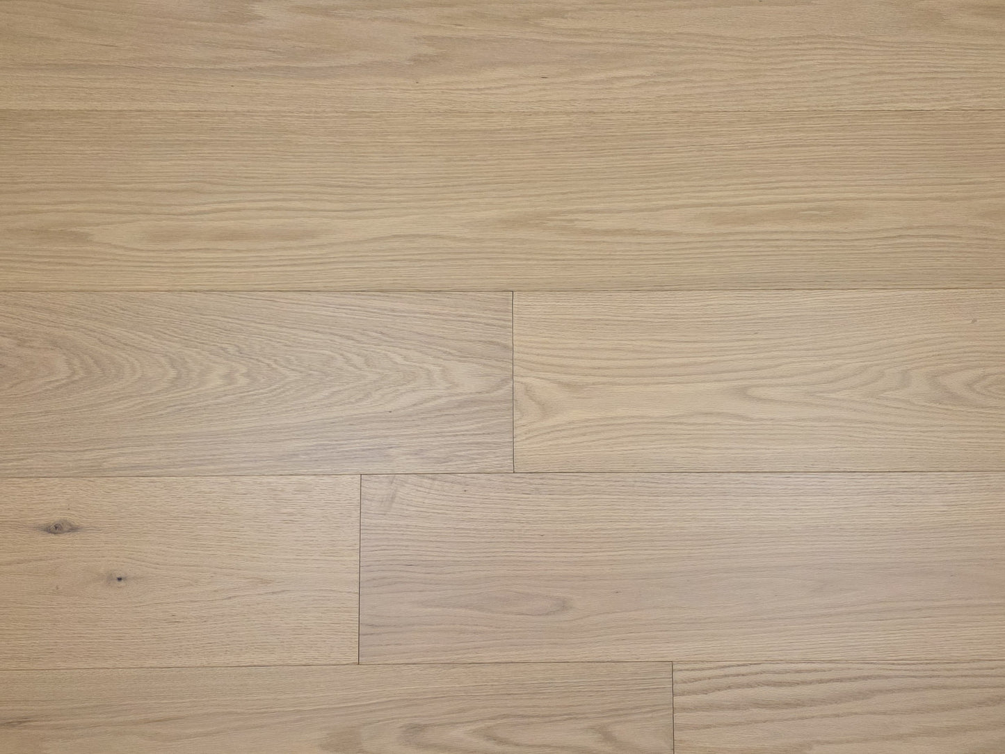 Close up of 9 1/2" x 5/8" Engineered Red Oak Oberon Hardwood Flooring