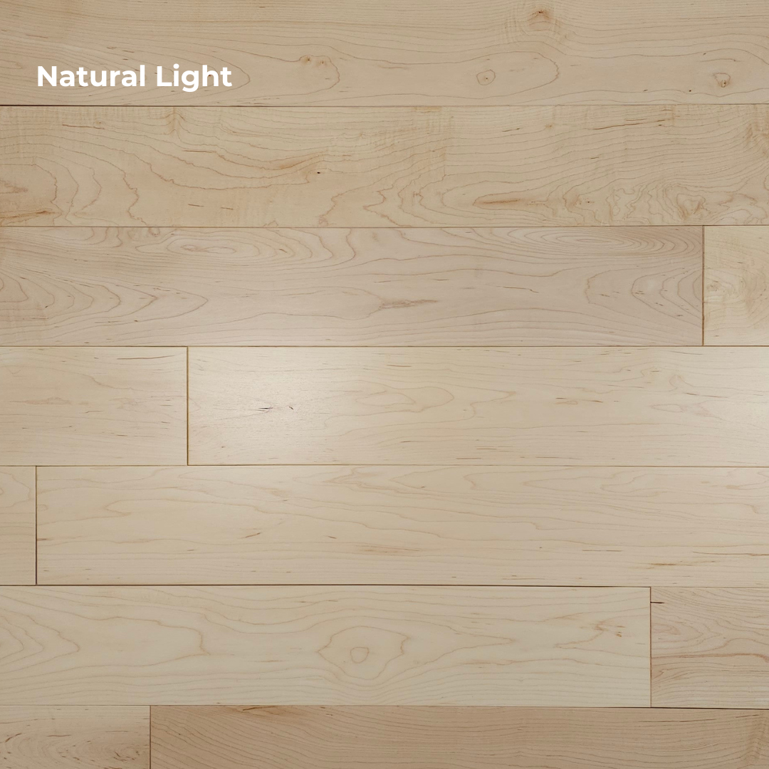 Maple Hardwood Flooring