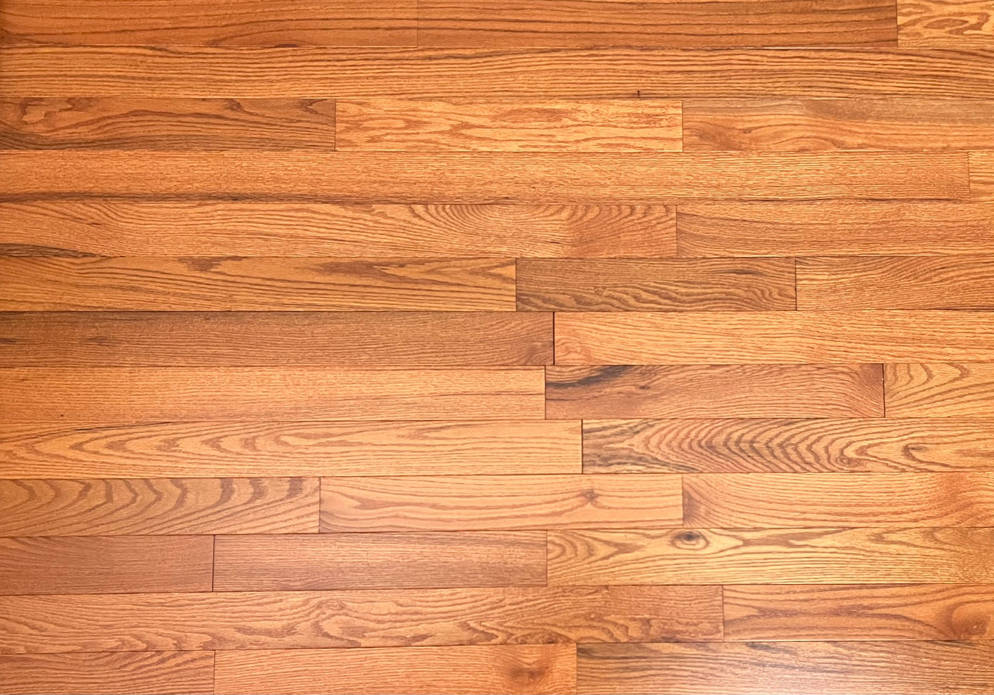 Oak Butterscotch Hardwood Flooring