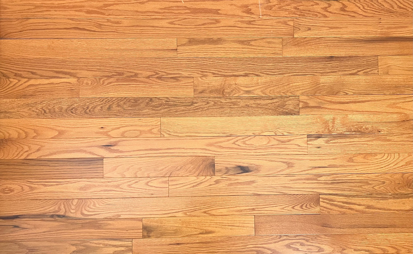 3 1/4" x 3/4" Red Oak Golden Oak Hardwood Flooring *Builder Grade*