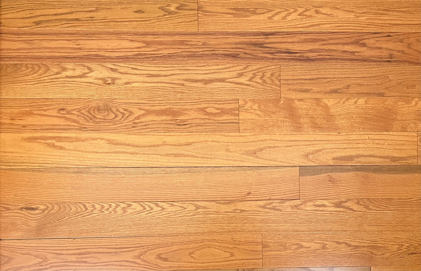 5" x 3/4" Red Oak Golden Oak Hardwood Flooring