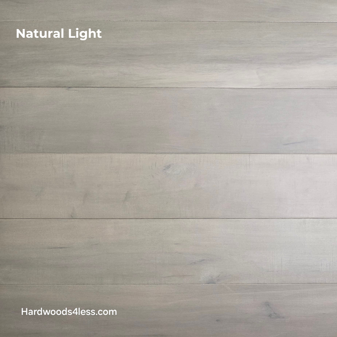 6 1/2" x 1/2" Engineered Maple Misty Moonlight Hardwood Flooring shown in Natural light.