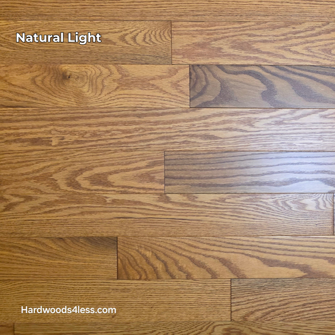 3 14 x 34 Solid Red Oak Blake Hardwood Flooring. Shown in natural lighting.