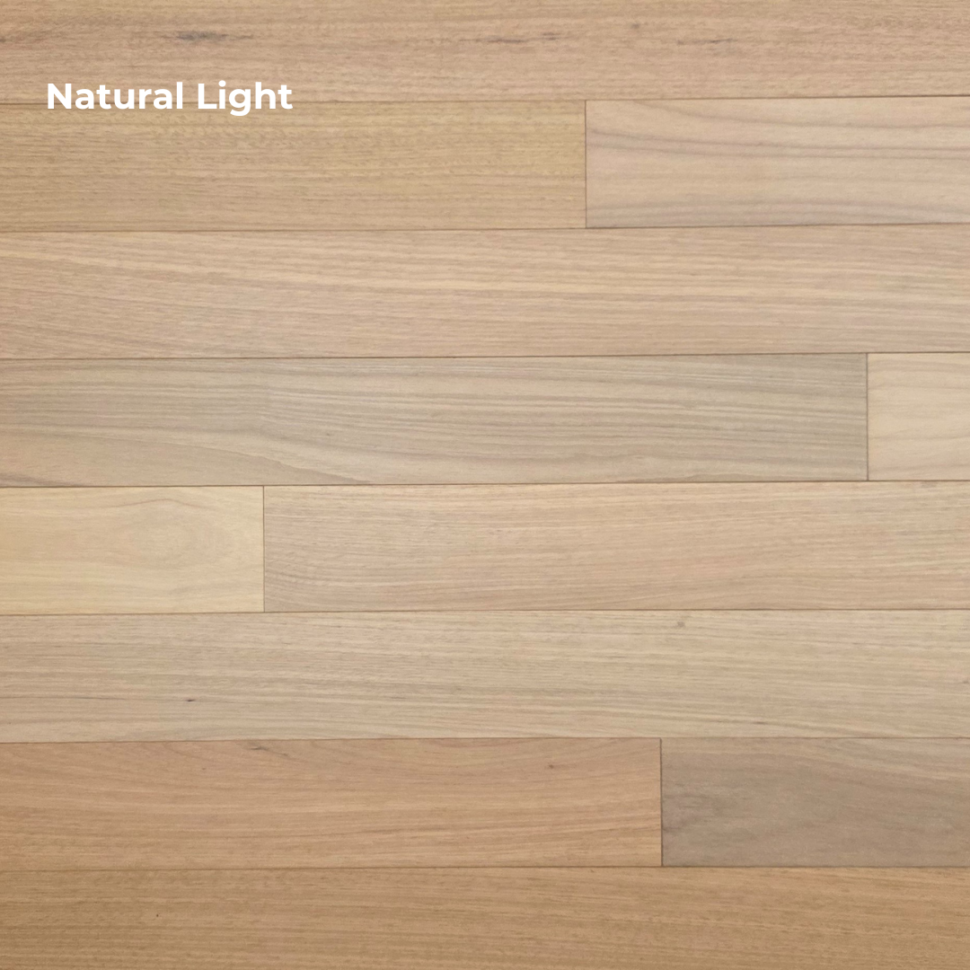4" x 3/4" Solid Brazilian Oak Natural Hardwood Flooring Tagged with natural light