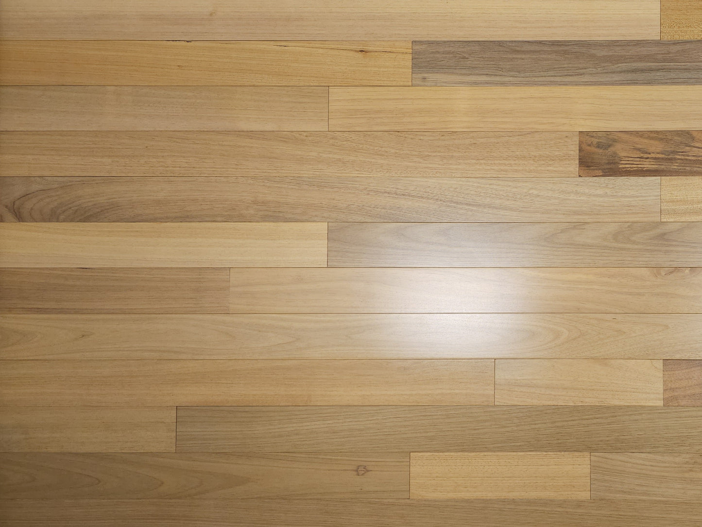 3 1/4" x 3/4" Solid Brazilian Oak Hardwood Flooring
