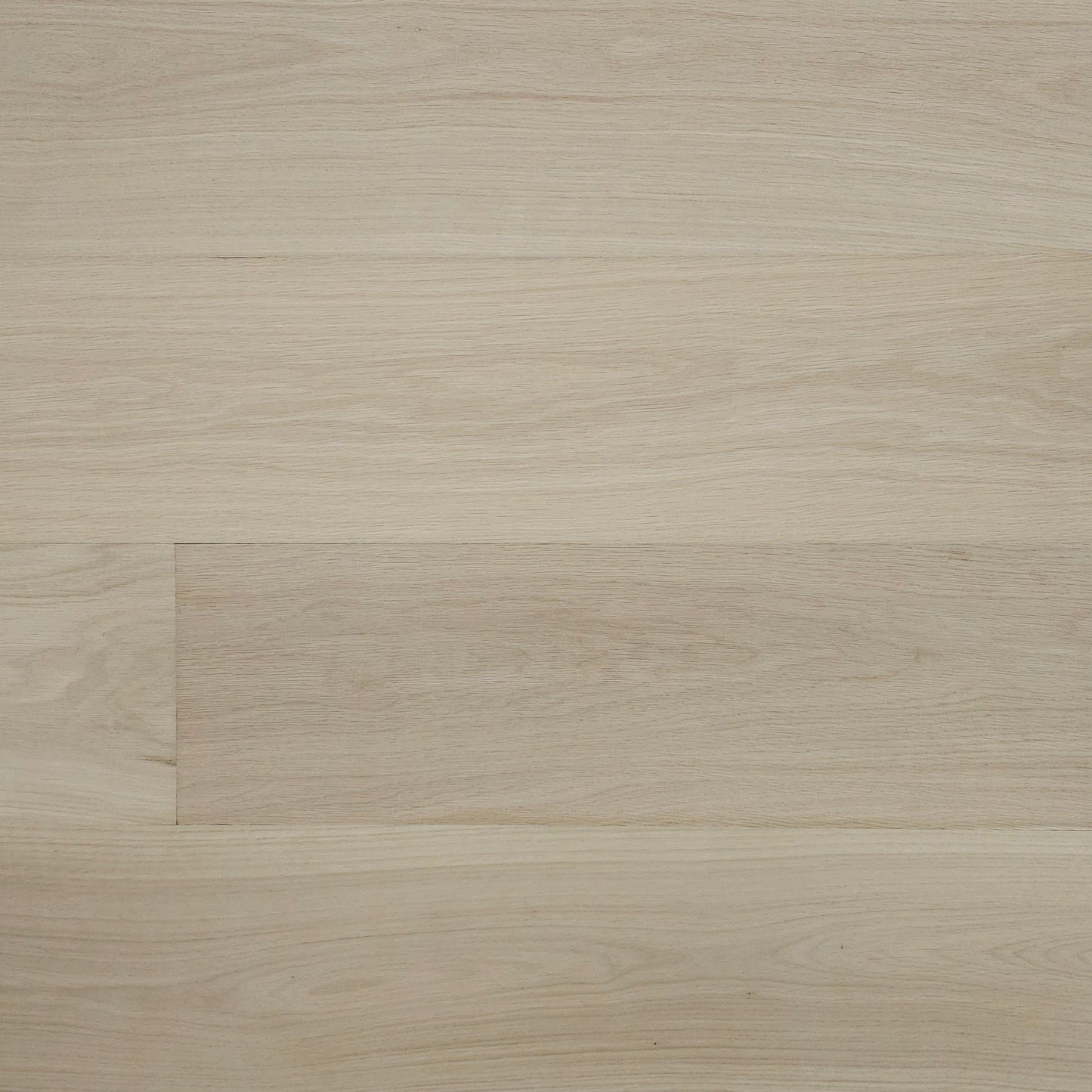 8 5/8" x 5/8" Engineered Unfinished European White Oak Select & Better Hardwood Flooring. Close up. 