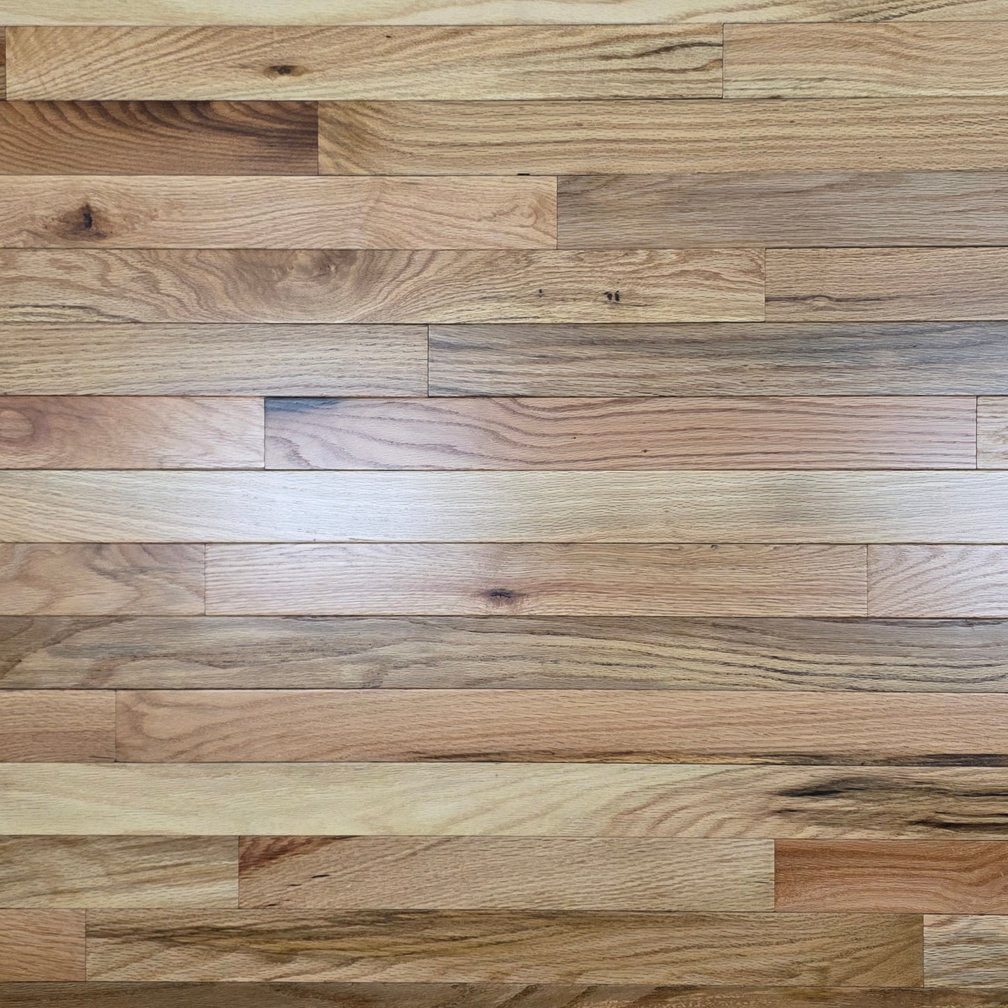 2 1/4" x 3/4" Red Oak Natural Hardwood Flooring *Builder Grade*