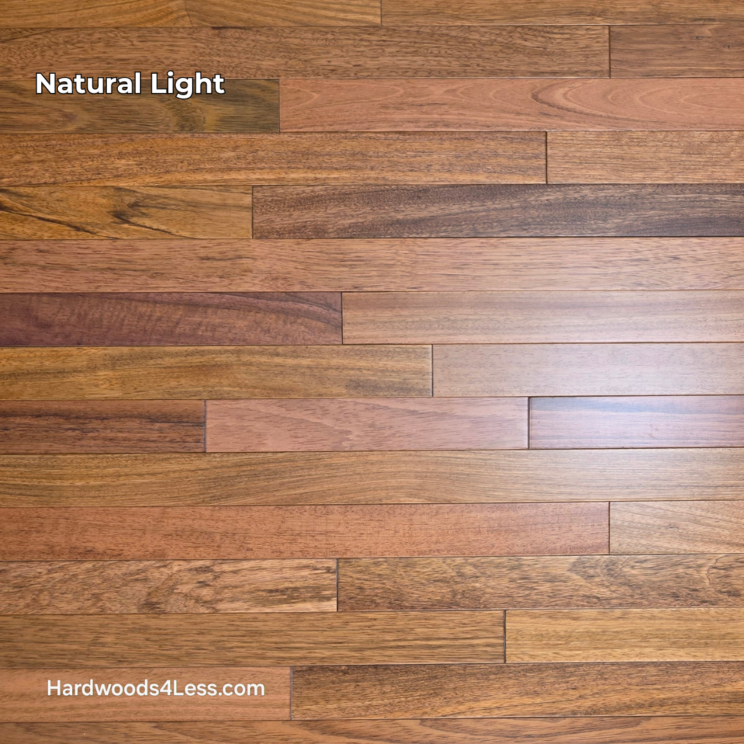 2 1/4" x 3/4" Brazilian Cherry Hardwood Flooring. Shown in natural lighting.