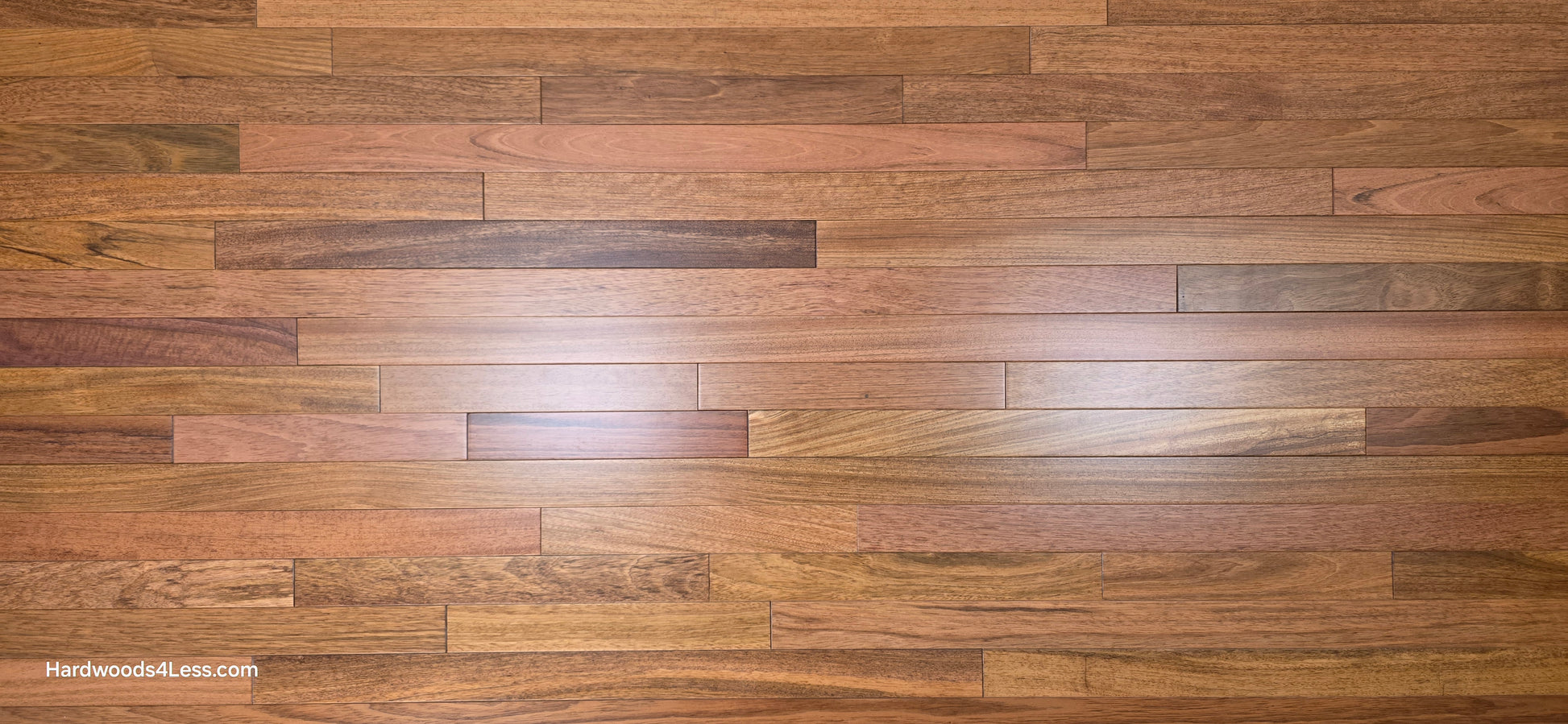 2 1/4" x 3/4" Brazilian Cherry Hardwood Flooring. Shown close up full screen.