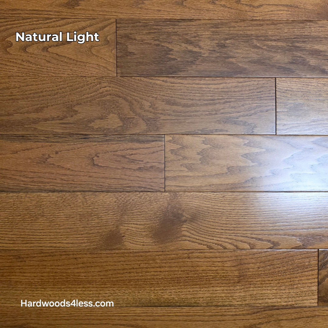 2 14 x 34 Solid Red Oak Hide Hardwood Flooring. Shown in Natural lighting. 