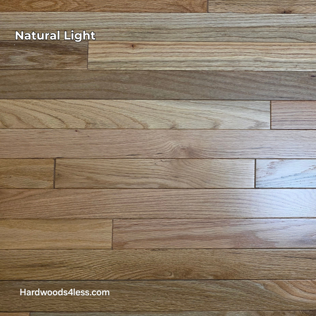 2 1/4" x 3/4" Solid Red Oak Natural Mill Run Hardwood Flooring. Shown in artificial lighting. 