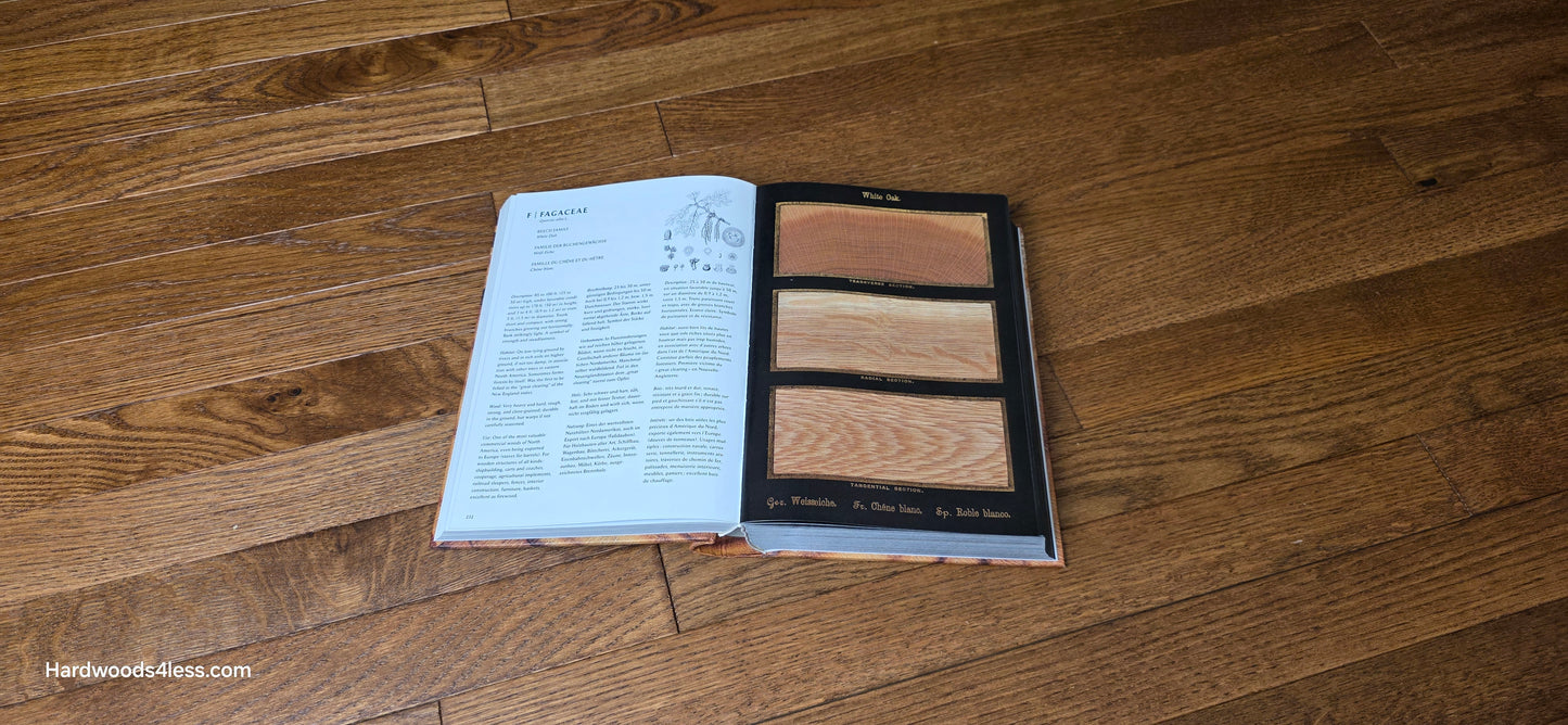 2 1/4" x 3/4" White Oak Gunstock Hardwood Flooring. Shown at center is a Hardwood book. Open to White Oak. The book is on a bias on the White oak Hardwood flooring.