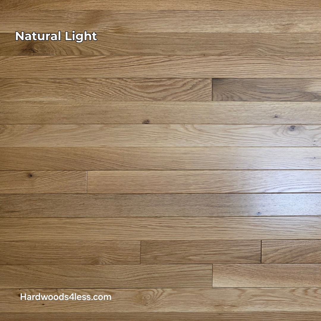 2 1/4" x 3/4" White Oak Natural #1 & Better Hardwood Flooring. Shown in natural lighting. 
