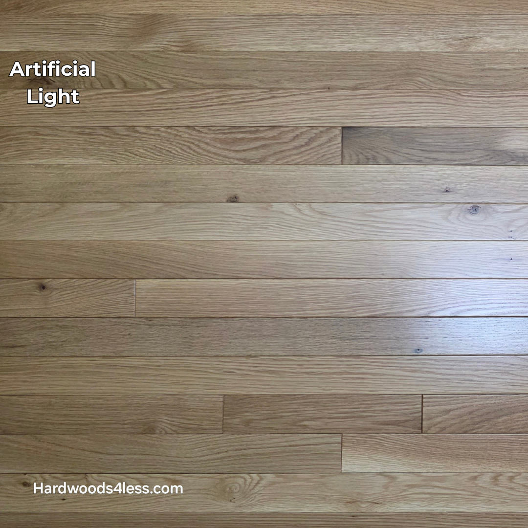 2 1/4" x 3/4" White Oak Natural #1 & Better Hardwood Flooring. Shown in artificial lighting. 