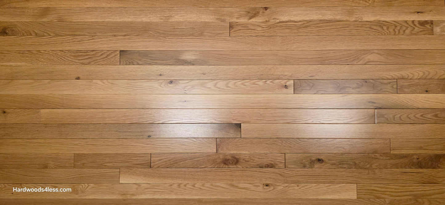 2 1/4" x 3/4" White Oak Natural #1 & Better Hardwood Flooring