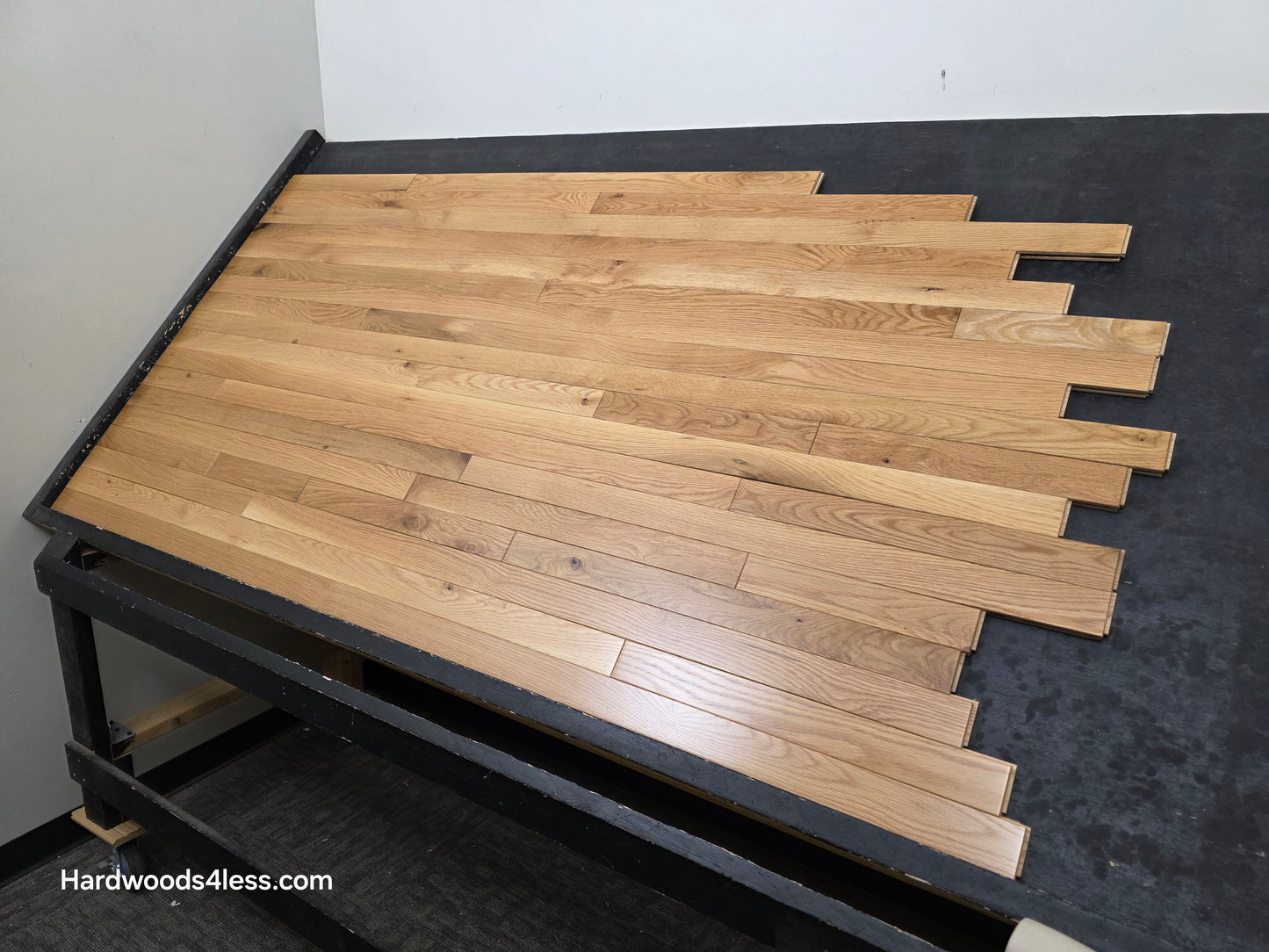 2 1/4" x 3/4" White Oak Natural #1 & Better Hardwood Flooring. Shown on a black shooting table. Shot from wide right. 