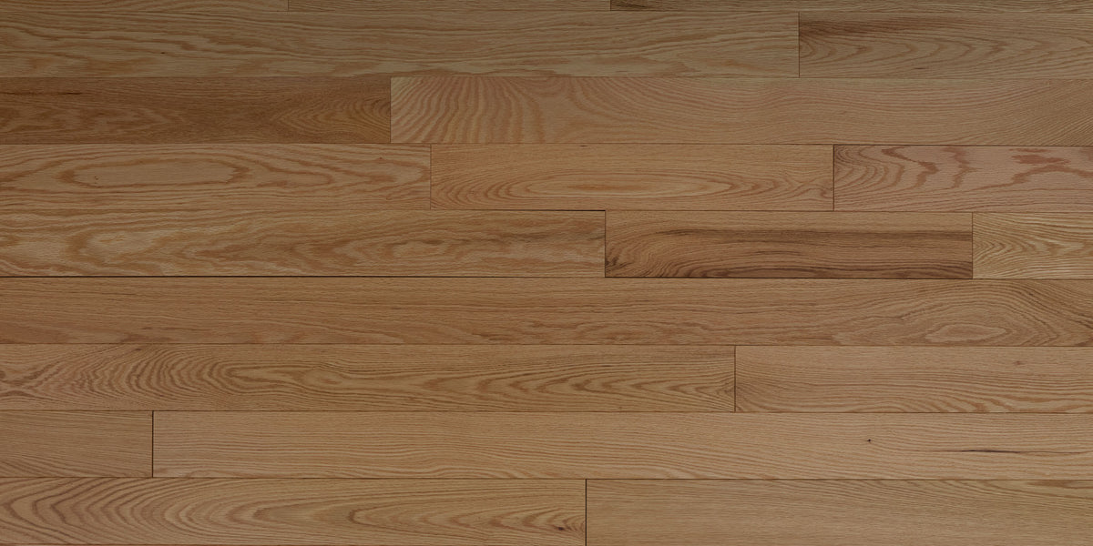 3 1/4" x 3/4" Solid Red Oak Doherty Hardwood Flooring