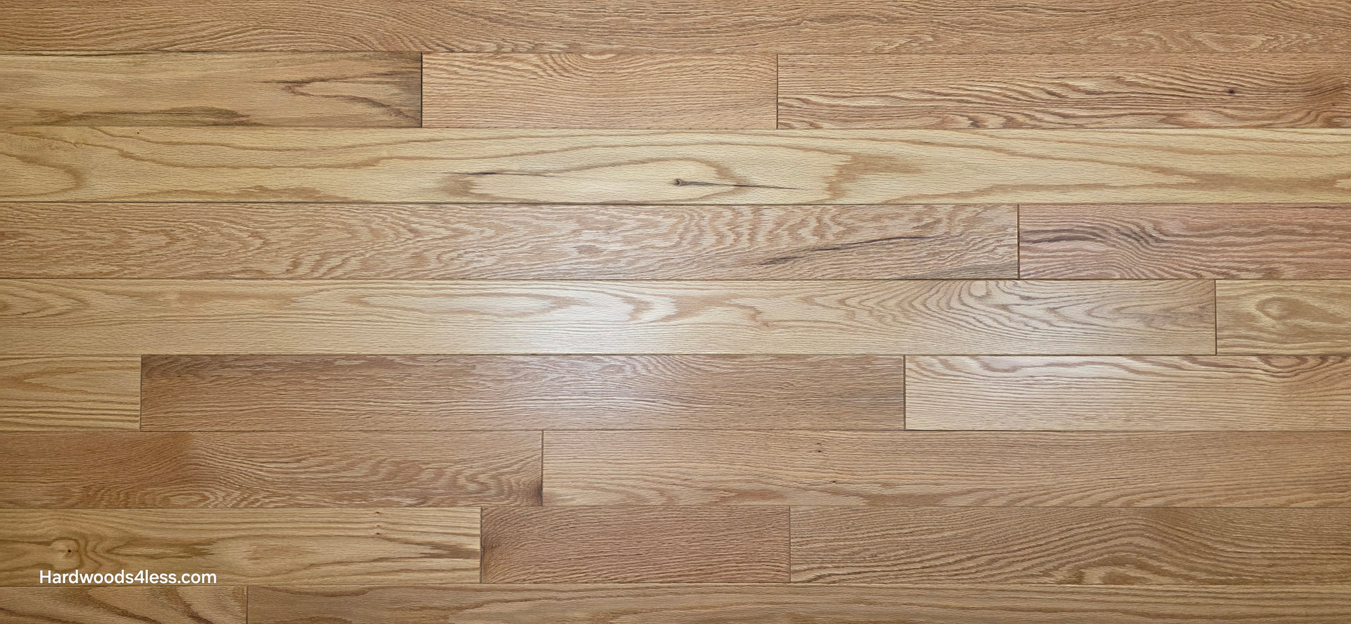 3 1/4" x 3/4" Red Oak Natural Common & Better Low Gloss Hardwood Flooring. Shown Close up. 