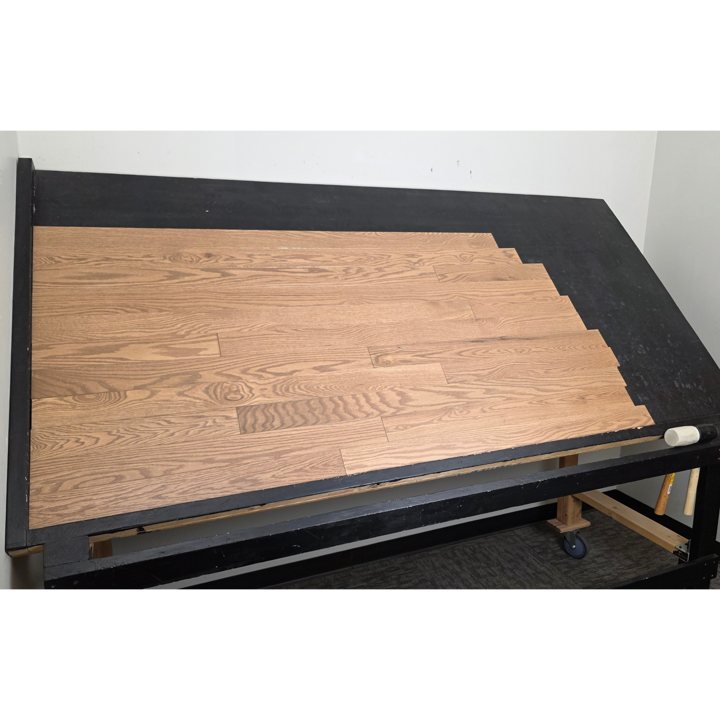 3 1/4" x 3/4" Solid Red Oak Marcy Hardwood Flooring. Shown on a black shooting table. Shot from wide left. 