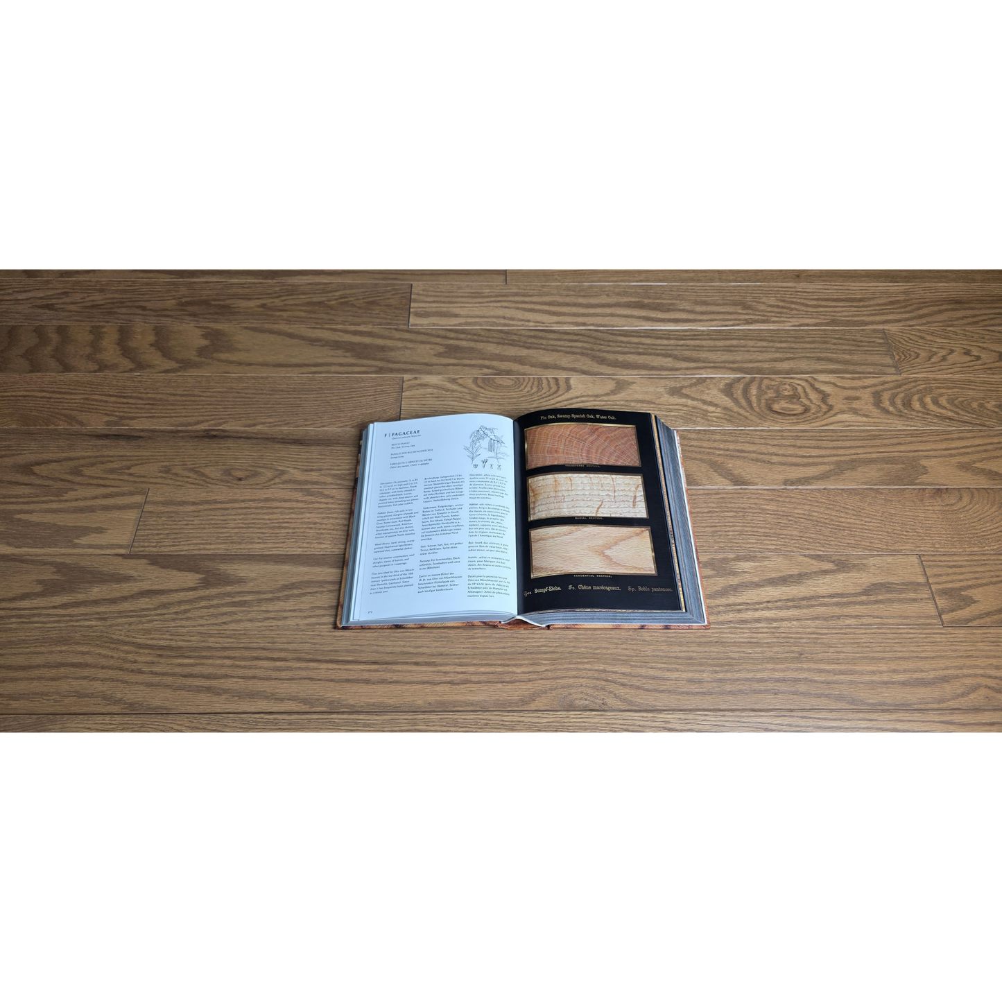3 1/4" x 3/4" Solid Red Oak Marcy Hardwood Flooring. Shown close up with a wood book open to a red oak page set in the center. 