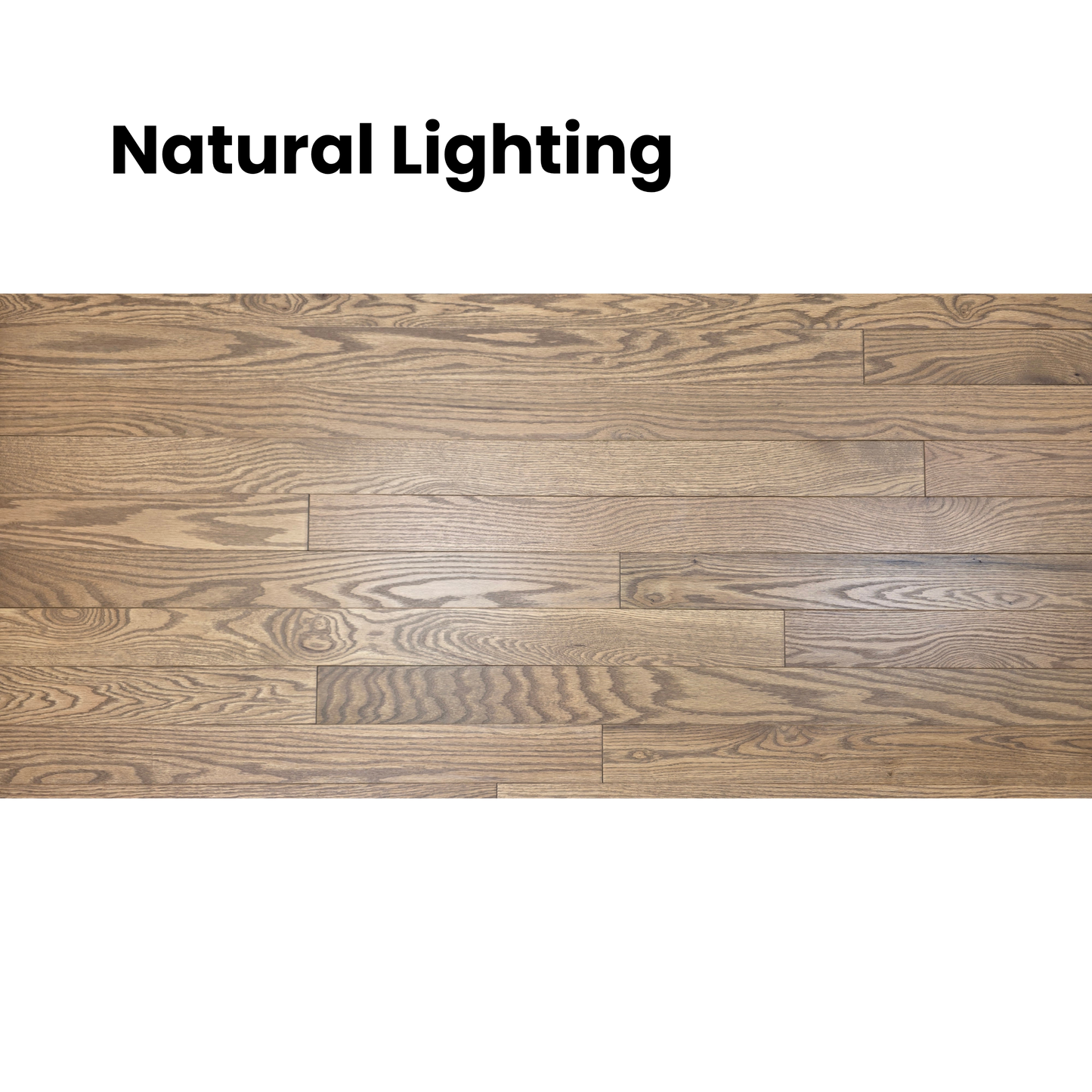 3 1/4" x 3/4" Solid Red Oak Marcy Hardwood Flooring. Shown close up in natural lighting. 