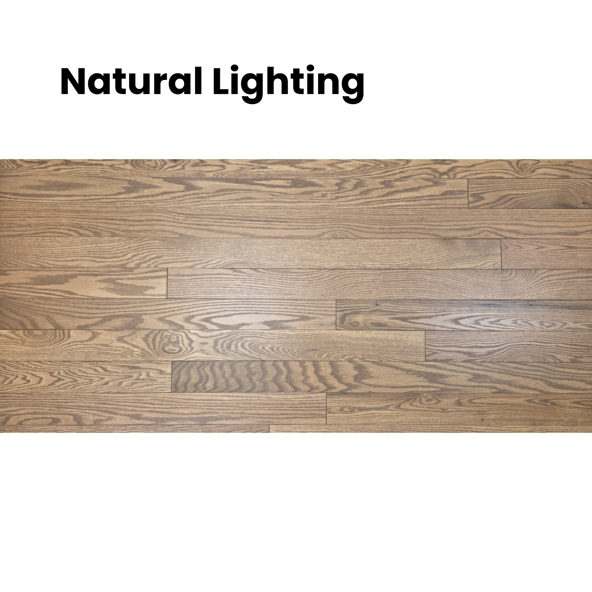 3 1/4" x 3/4" Solid Red Oak Marcy Hardwood Flooring. Shown close up in natural lighting. 