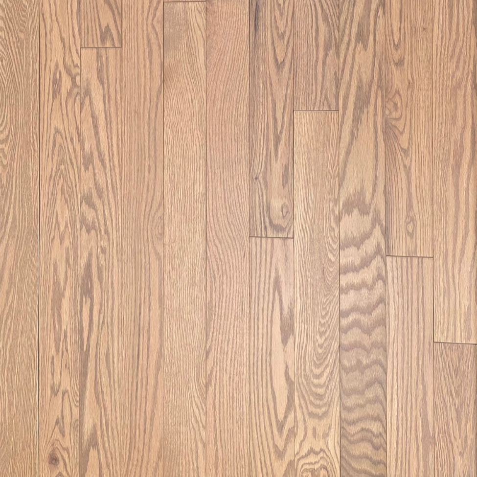 2 1/4" x 3/4" Solid Red Oak Marcy Hardwood Flooring