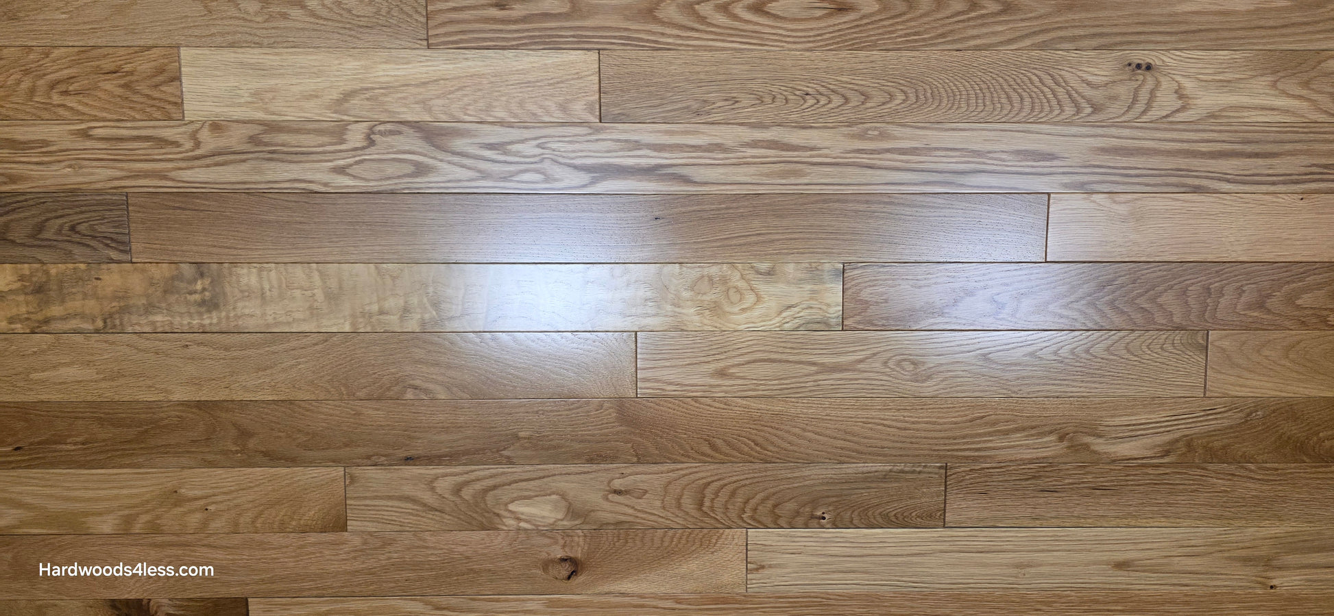 3 1/4" x 3/4" White Oak Natural Hardwood Flooring.