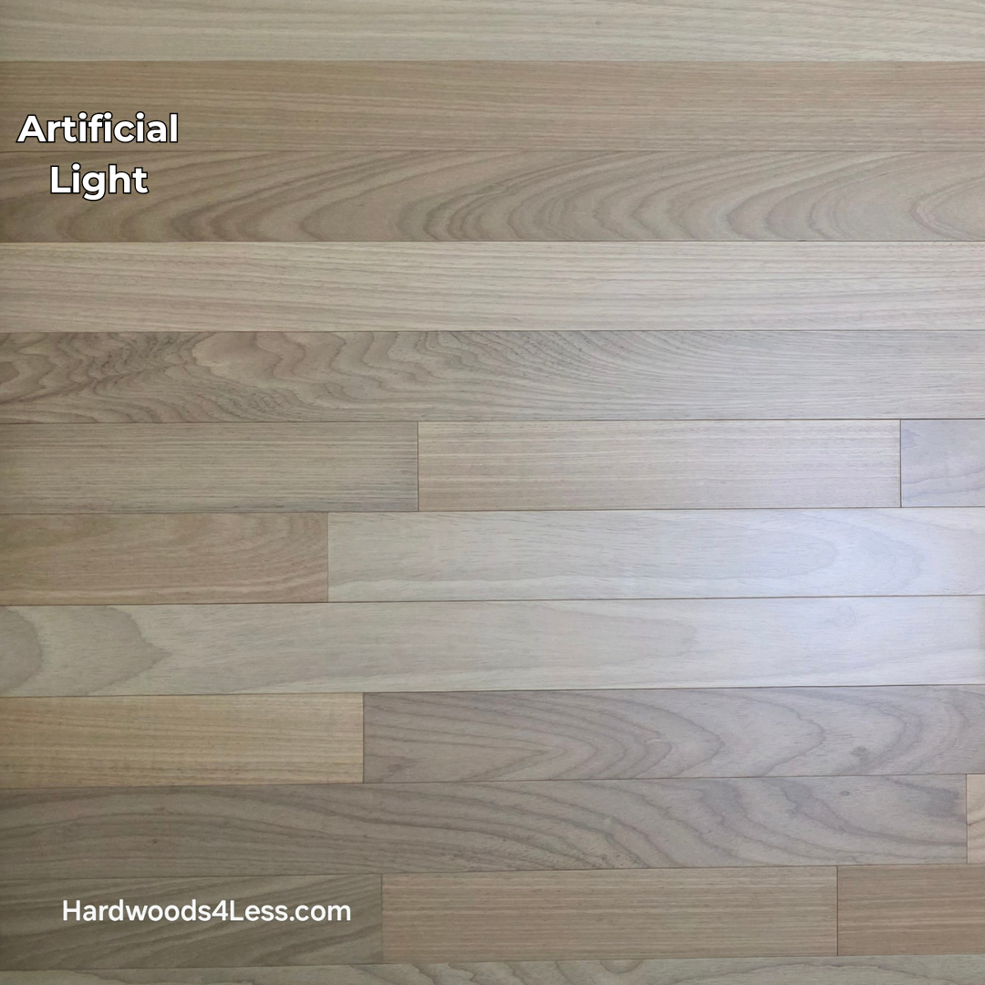 3 1/4" x 3/8" Engineered Brazilian Oak Natural Hardwood Flooring. Shown in artificial lighting.