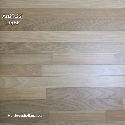 3 1/4" x 3/8" Engineered Brazilian Oak Natural Hardwood Flooring. Shown in artificial lighting.