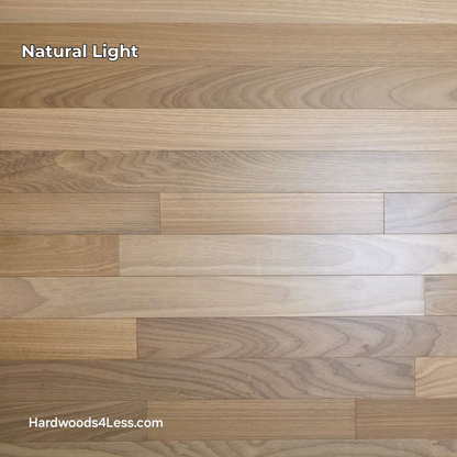 3 1/4" x 3/8" Engineered Brazilian Oak Natural Hardwood Flooring. Shown in natural lighting.
