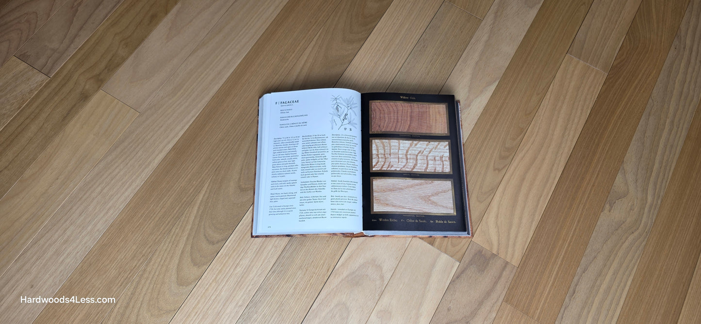 3 1/4" x 3/8" Engineered Brazilian Oak Natural Hardwood Flooring. Shown at center is a Hardwood book opened to a random Oak page. Under the book is the Brazilian Oak Flooring.