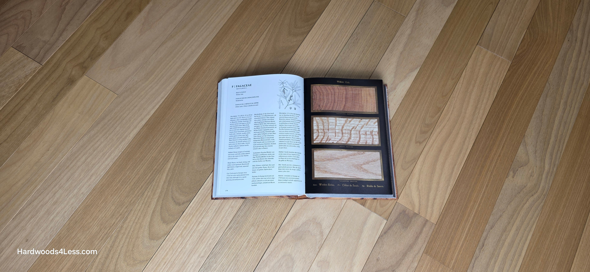 3 1/4" x 3/8" Engineered Brazilian Oak Natural Hardwood Flooring. Shown at center is a Hardwood book opened to a random Oak page. Under the book is the Brazilian Oak Flooring.
