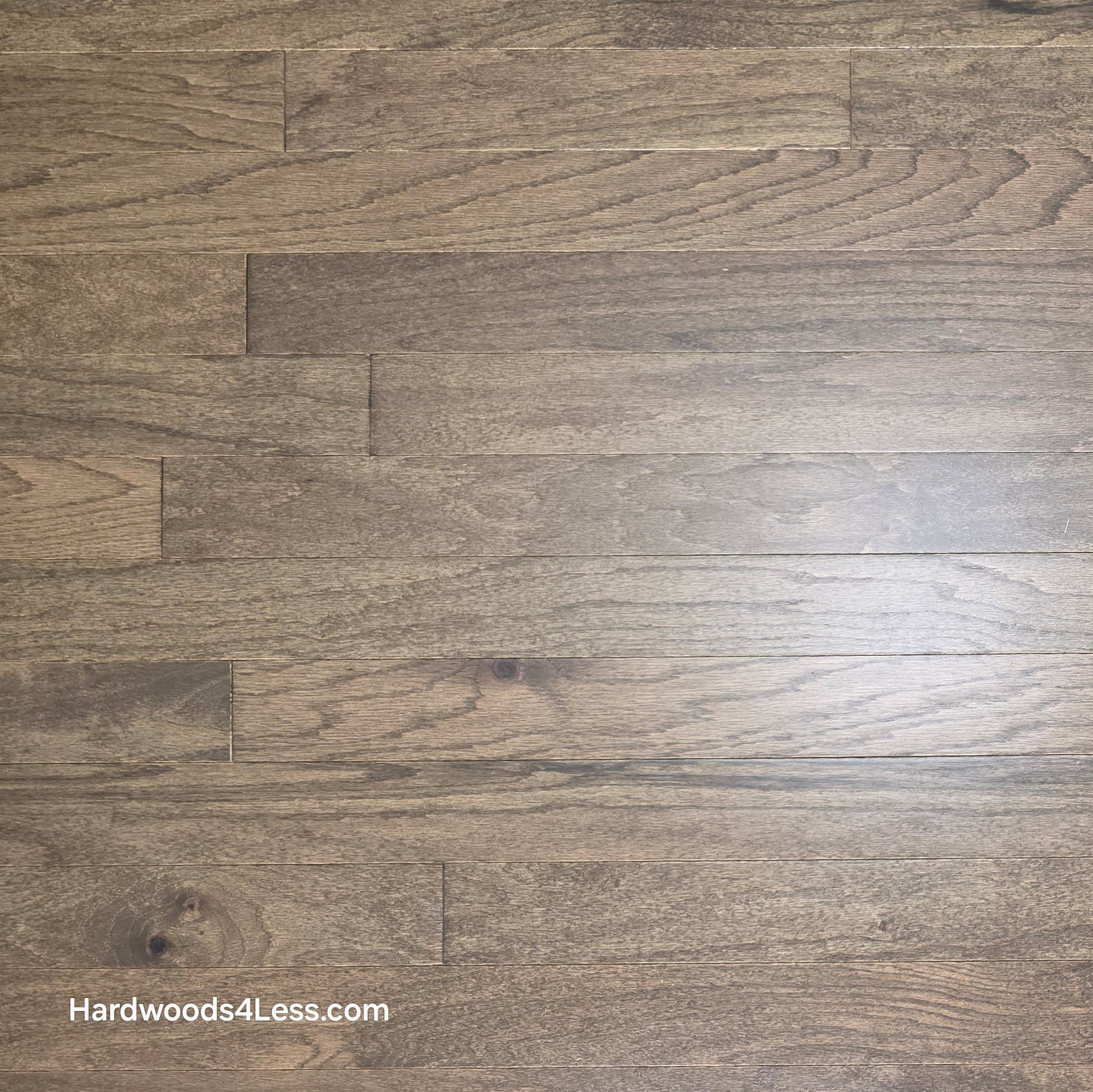 3" x 3/8" Engineered Red Oak Mace Hardwood Flooring. Shown close up in natural lighting.