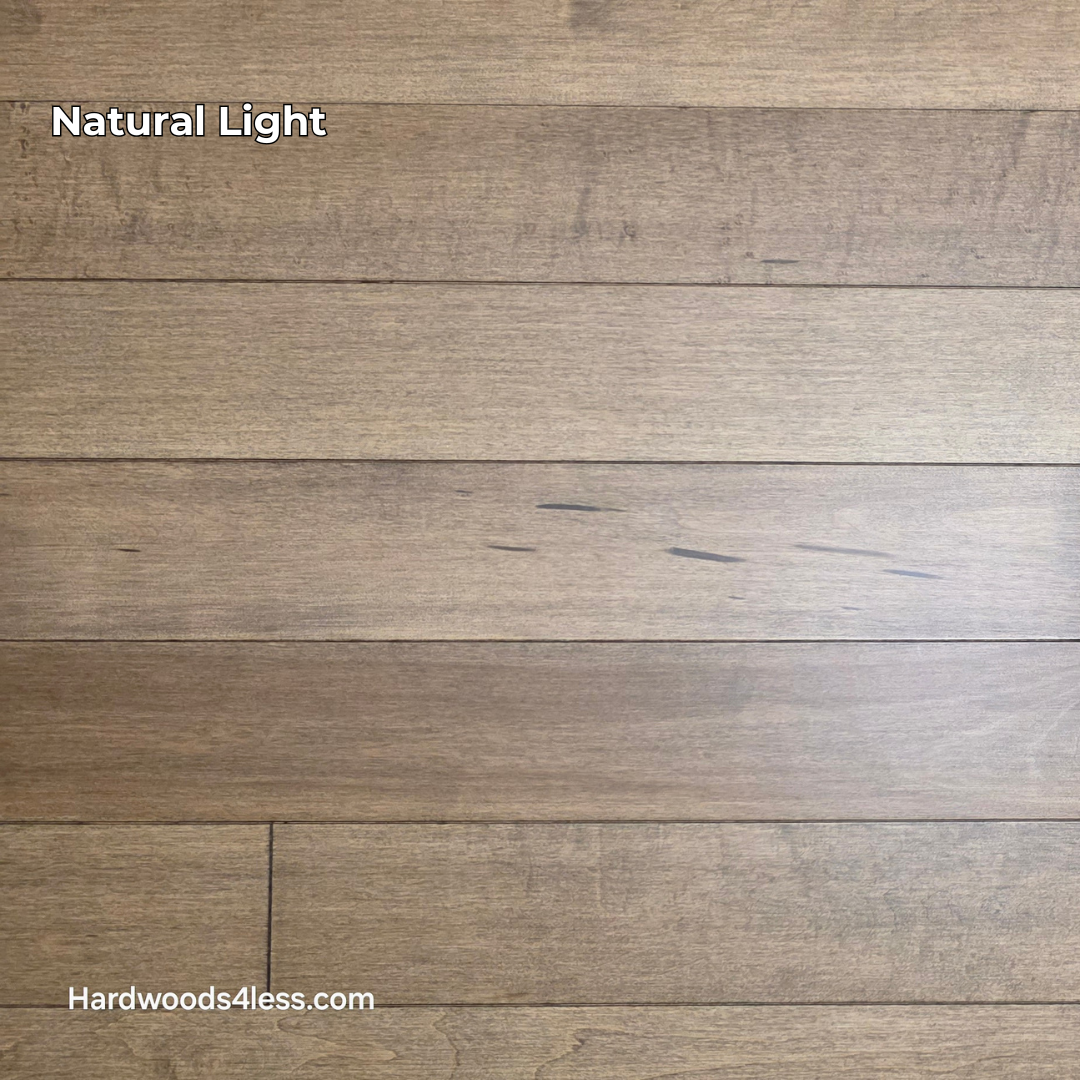 4" x 3/4" Solid Maple Sandpiper Hardwood Flooring. Shown in natural lighting.