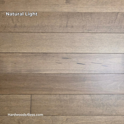 4" x 3/4" Solid Maple Sandpiper Hardwood Flooring. Shown in natural lighting.