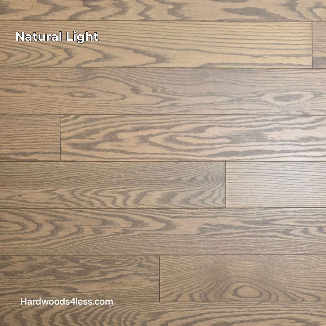 4" x 3/4" Solid Red Oak Barrel Hardwood Flooring. Shown in natural lighting. 