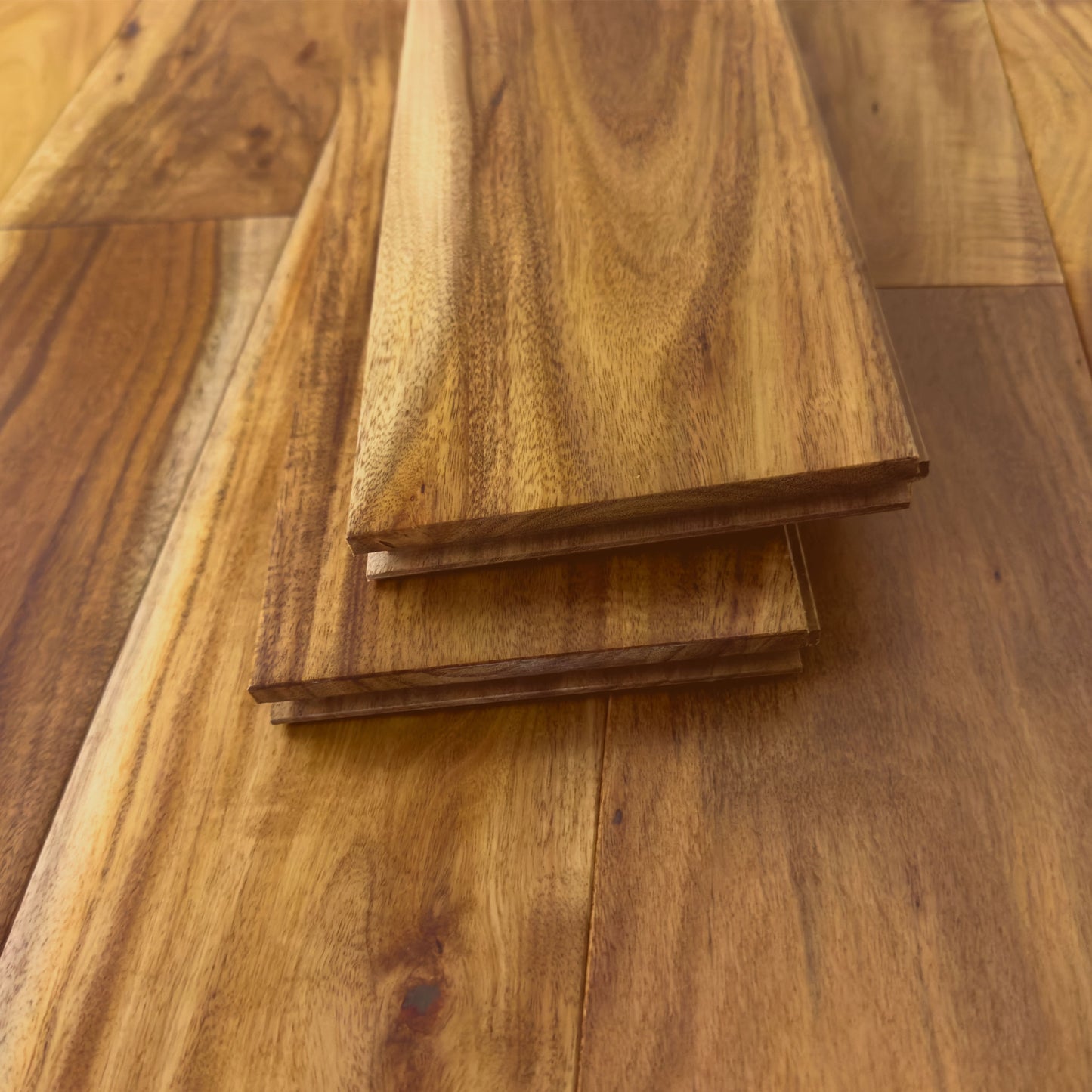 5" x 3/4" Solid European Acacia Natural Hardwood Flooring