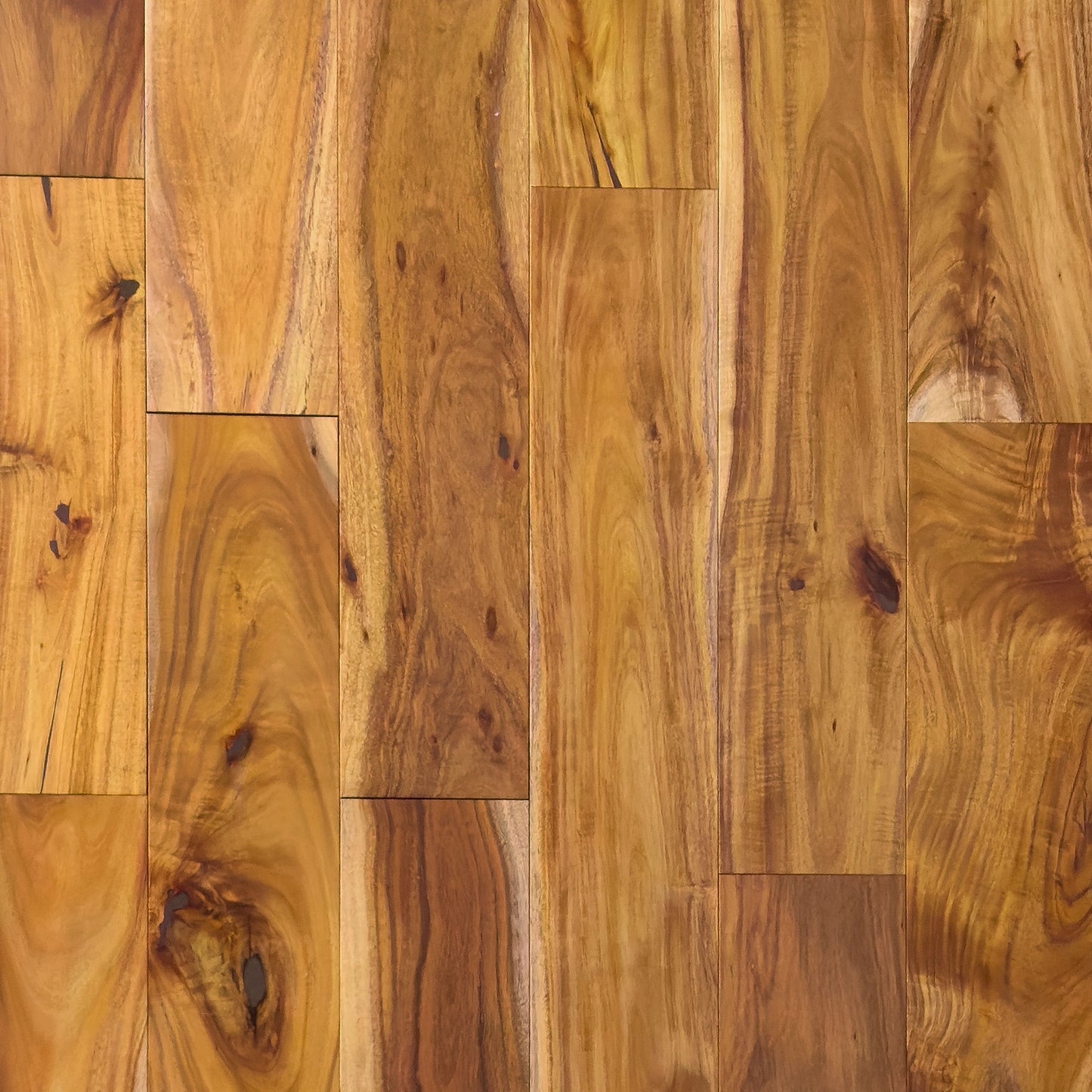 5" x 3/4" Solid European Acacia Natural Hardwood Flooring