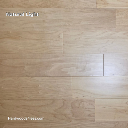 5 3/8" x 3/8" Engineered Maple Natural Hardwood Flooring. Close up. 