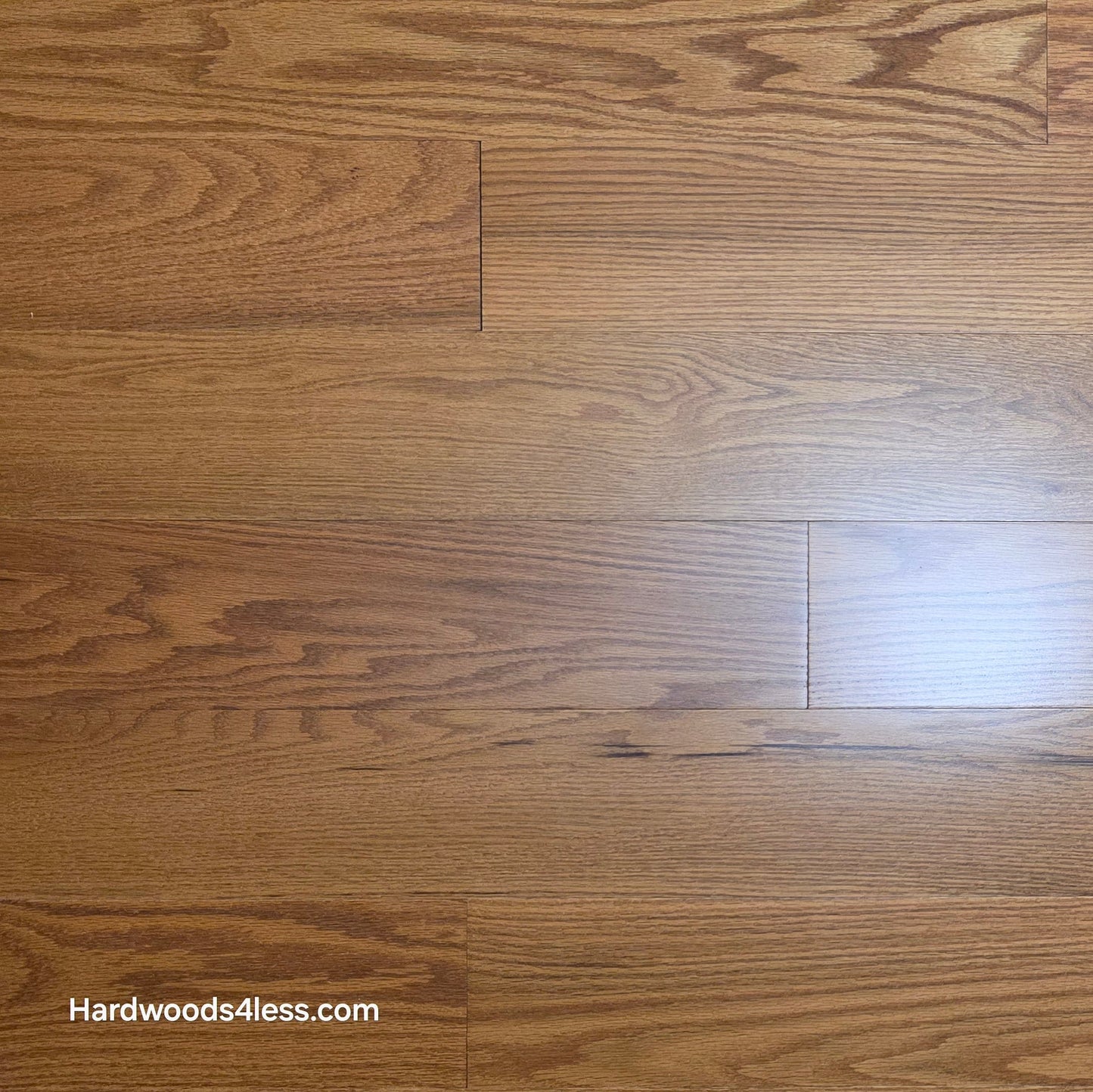 5" x 1/2" Engineered Red Oak Golden Oak Hardwood Flooring. Shown close up.