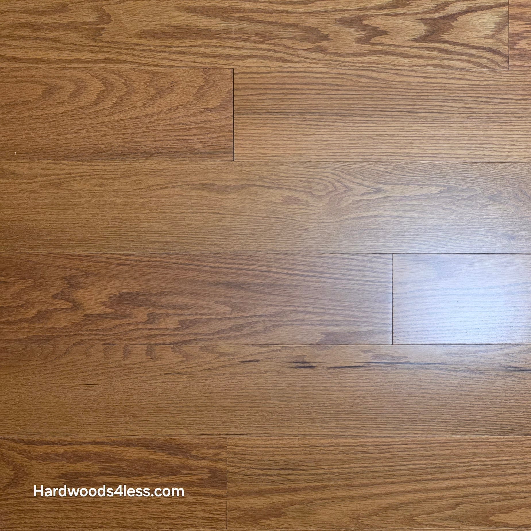 5" x 1/2" Engineered Red Oak Golden Oak Hardwood Flooring. Shown close up.