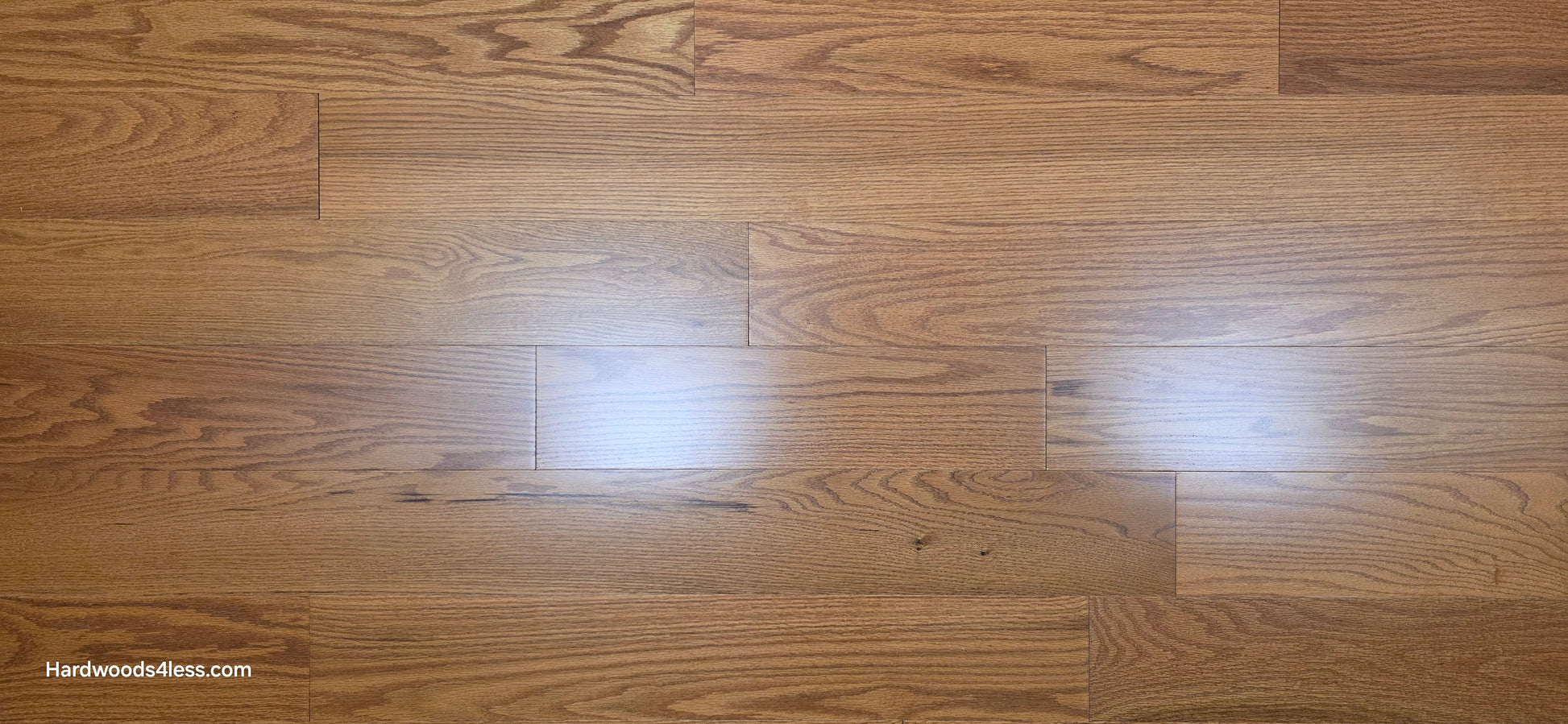 5" x 1/2" Engineered Red Oak Golden Oak Hardwood Flooring. Close up.