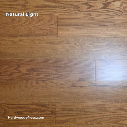 5" x 1/2" Engineered Red Oak Golden Oak Hardwood Flooring. Shown in natural lighting.