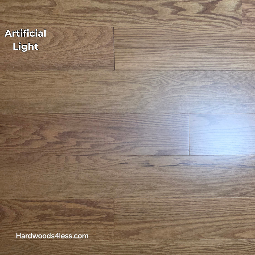 5" x 1/2" Engineered Red Oak Golden Oak Hardwood Flooring. Shown in artificial lighting.